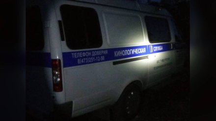 Пропавшего под Воронежем 8-летнего мальчика нашли в 12 км от дома
