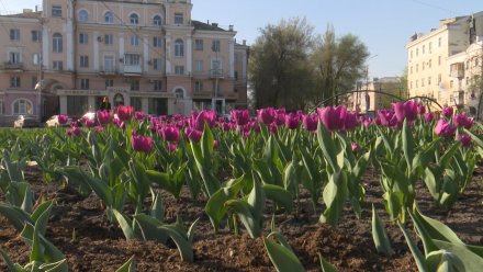 Прогноз погоды на 9.05.2025