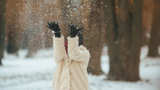 Снегопады накроют Воронеж за пару дней до Нового года