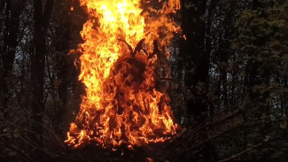 Появилось видео сожжения жуткой скульптуры коронавируса в Воронеже