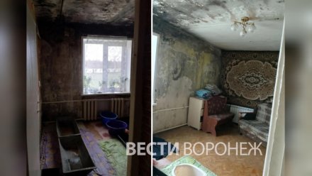 Бастрыкин взял на контроль историю с оставшейся без жилья многодетной семьёй под Воронежем