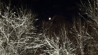 Свет пропал в 19 районах Воронежской области после ночного снегопада