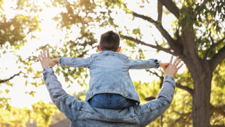 Ограничения на авто подтолкнули воронежца выплатить полмиллиона долга по алиментам 