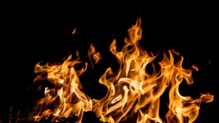 Восемь человек спасли воронежские пожарные из горящего дома