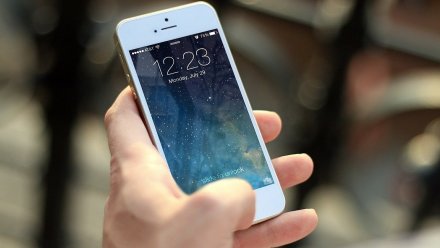 Воронежцы покупают корейские смартфоны в 6 раз чаще американских