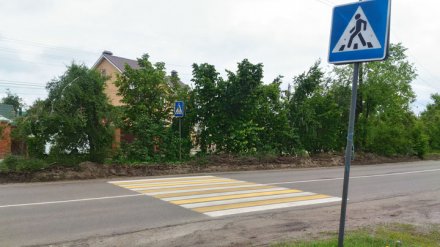 В Воронеже пешеходный переход ведёт в гору грязи и кусты