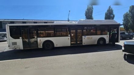 Мужчина и женщина пострадали в ДТП с маршруткой в Воронеже