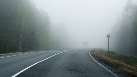 Синоптики предупредили жителей Воронежской области об опасном тумане