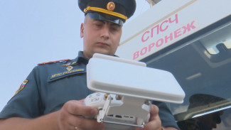 Спасатели проверили 850 воронежских сёл, подверженных угрозе пожаров 