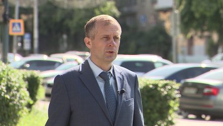 Экс-начальник воронежской ГАИ назначен и.о. министра лесного хозяйства