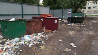Борьба за чистоту. Что мешает привести в порядок воронежские мусорки?