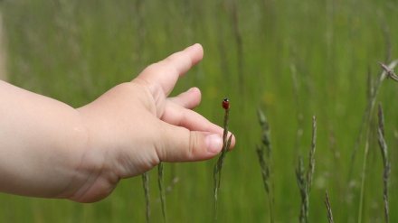 Четыре страшных часа. Как в воронежском селе пропала и нашлась 2-летняя Лиза