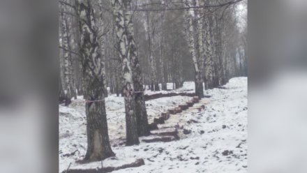 Жители воронежских Семилук попросили губернатора защитить от вырубки деревья в парке