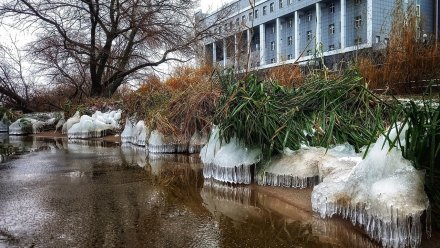 «Ледяные медузы» украсили берег Воронежского водохранилища