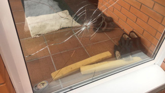 Под Воронежем пуля пробила окно частного дома