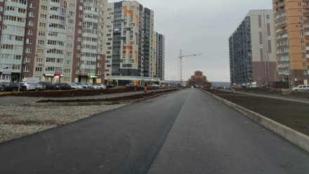 Мэр Воронежа рассказал о ходе работ по оптимизации движения в городе