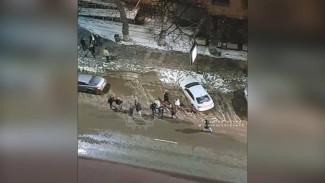 Массовую драку возле воронежского бара сняли на видео