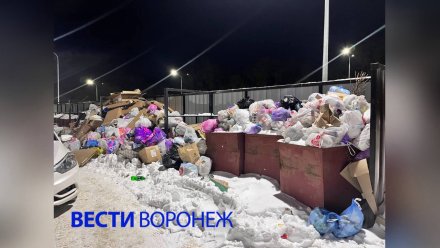 Воронежский ЖК «Яблоневые сады» начал тонуть в мусоре