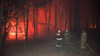 Эвакуированные из-за пожара жители воронежского хутора: «Мы мчались через огонь и дым»