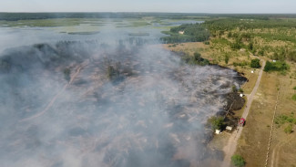В Воронеже загорелся лес вблизи водоподъёмной станции