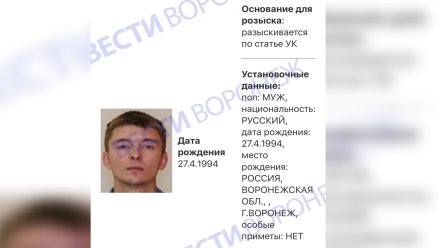 Сбежавшего после смертельного ДТП сына сотрудницы воронежской ФНС внесли в базу розыска МВД