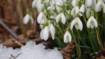 Прогноз погоды в Воронеже на 27.03.2026