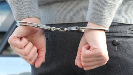В Воронеже арестовали пытавшегося изнасиловать девочку в ТЦ «Галереи Чижова» мужчину