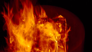 В Воронеже сгорел автобус: пострадал человек