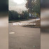 Воронежцам показали на видео пешеходный переход в никуда