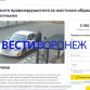 Воронежцы создали петицию с просьбой наказать переехавшего собаку мужчину