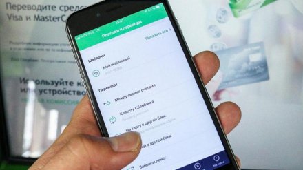 В полиции рассказали, на какую одну и ту же уловку мошенников попадаются воронежцы