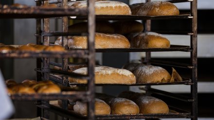 Воронежские бизнесмены пожаловались на невыплату зарплат при закрытии хлебозавода