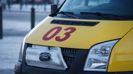 Восьмилетняя девочка получила ожоги при пожаре в воронежском селе