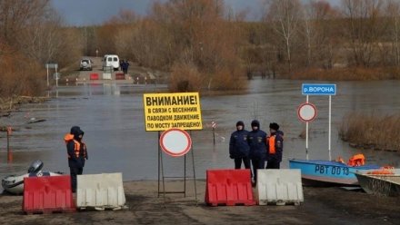 В Воронежской области из-за паводка затопило мост