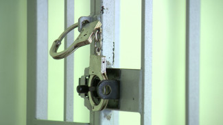СК возбудил дело о превышении полномочий после задержания воронежского режиссёра 