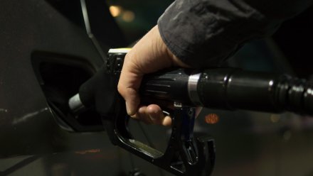В Воронежской области за неделю вновь взлетели цены на бензин