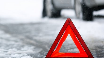 После ДТП в Воронежской области, в котором 2 человека погибли и 7 пострадали, возбудили дело