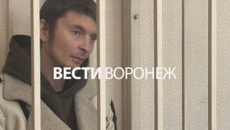 Устроившего смертельное ДТП с выпускницей журфака Гусева отправили в СИЗО