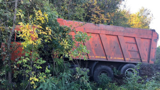 КамАЗ вылетел с трассы и врезался в деревья в Лискинском районе