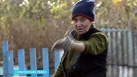 В Семилукском районе двух пенсионерок осудили за кражу