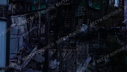 Более 10 домов сгорели в воронежском посёлке Рыбачий