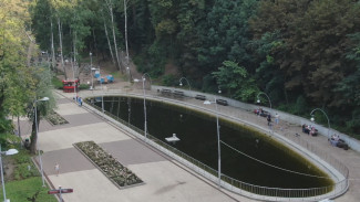 В Центральном парке в Воронеже высадят более 1,5 тыс. кустов роз