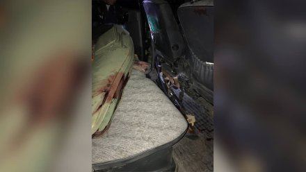 Охотник из Воронежской области ответит в суде за случайный выстрел в знакомого