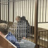 Задержанного в Воронежской области подозреваемого в двойном убийстве отправили в СИЗО