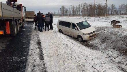 Под Воронежем семья с ребёнком и двумя собаками оказалась в дорожной западне