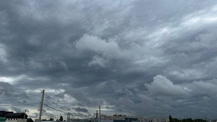 Начало рабочей недели в Воронеже будет дождливым и прохладным