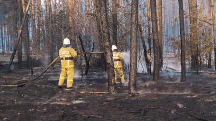 В воронежском посёлке эвакуировали полсотни человек из-за пожара