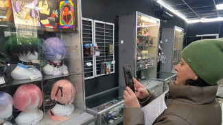 Администратор аниме-магазина под Воронежем заплатит штраф за проданную фигурку Гитлера