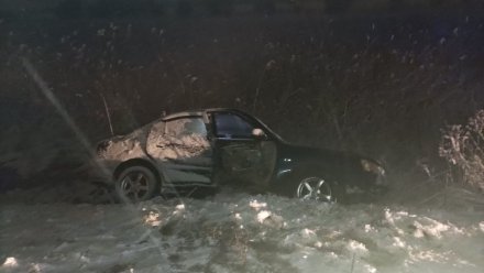 В результате ДТП в Воронежской области в больницу попала пассажирка иномарки