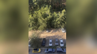 Полиция отказалась возбуждать дело после избиения мужчины бутылками в Воронеже